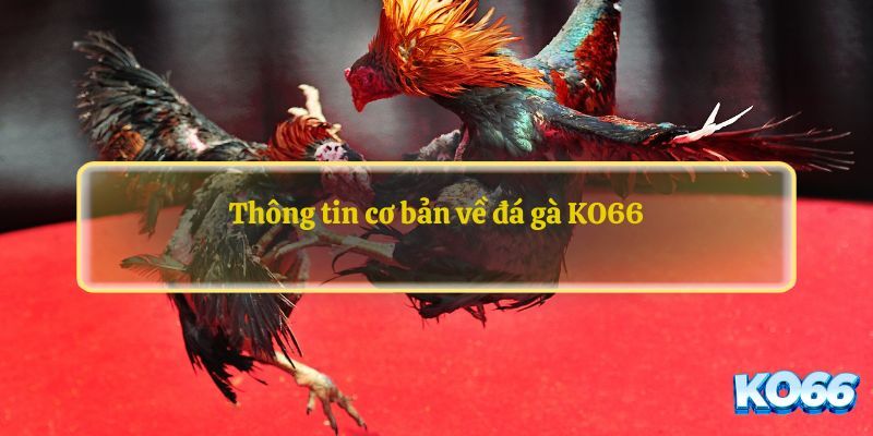Khách hàng chơi đá gà sẽ được hỗ trợ nhanh chóng, hiệu quả