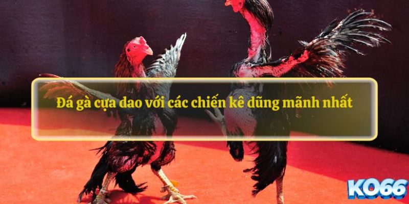 KO66 cam kết tạo dựng niềm tin từ sự minh bạch